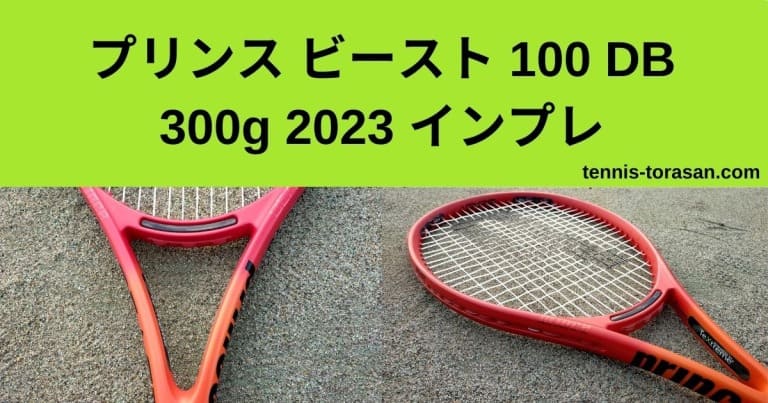 プリンス ビースト 100 DB 300g 2023 2024 インプレ 評価 レビュー 