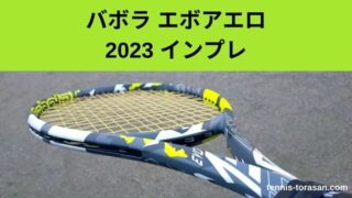 バボラ エボ アエロ 2022 2023 インプレ 評価 感想レビュー スピン特化 