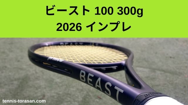 プリンス ビースト 100 300g 2026 2027 インプレ 評価 レビュー 